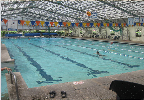 Plaveck&yacute; baz&eacute;n 